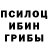 Псилоцибиновые грибы MAGIC MUSHROOMS El_Kabanito