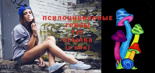 МДПВ Вязьма