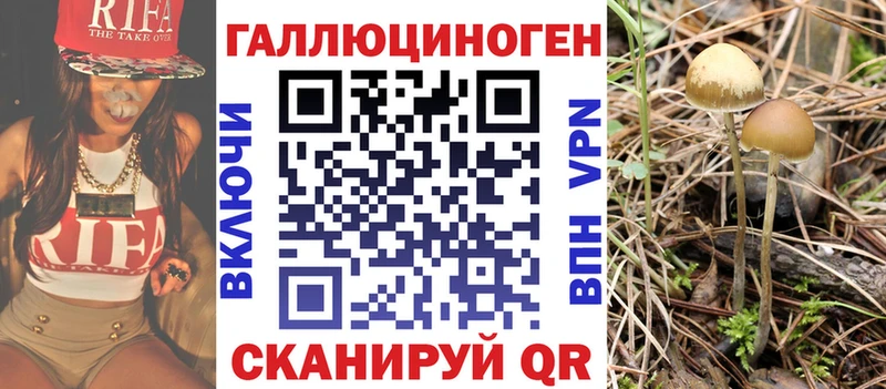 Купить где  Урень  Галлюциногенные грибы Magic Shrooms 